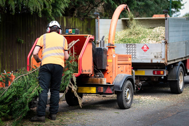 Best Soil Testing and Treatment  in Richmond, VA